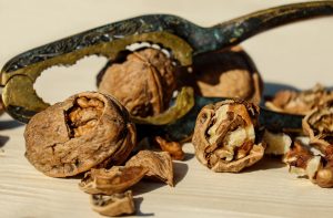 walnut-1751661_1920