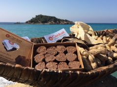 ENERJİ KAYNAĞI BOZYAZI KAVUTU CANA CAN KATIYOR